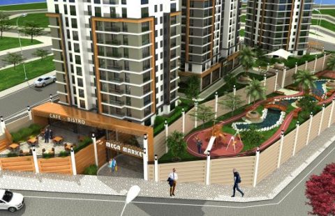 HCC – IST 56 FOCUS EYÜP