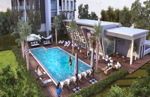 HCC-IST 128 NEST DRAGOS