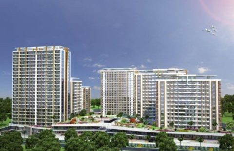 HCC- IST 169 YALÇINTEPE