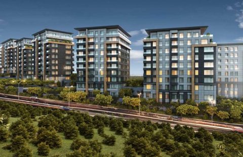 HCC – IST 254 ÇAMLI VADİ