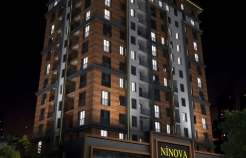 HCC-IST-365 Ninova Life