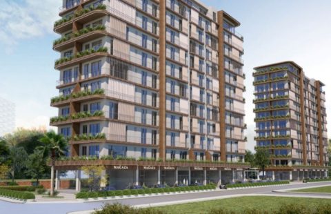 HCC-IST-425 Seba Casa