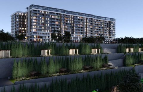 HCC-IST-456 Empire Paradise