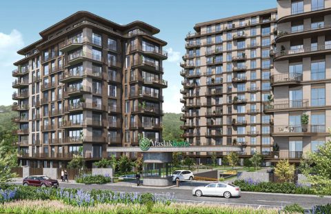 HCC-IST-475 Maslak Koru