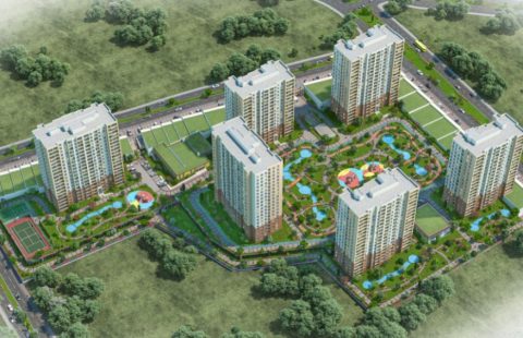 HCC-IST-464 Bizim Evler 11