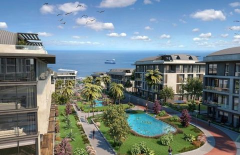 HCC-IST 07 PALM MARİN