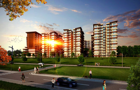 HCC – IST 20 BOTANICA