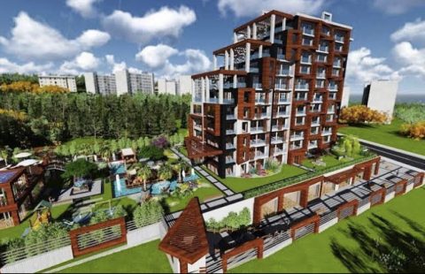 HCC – IST 62 ARENA NAUNS