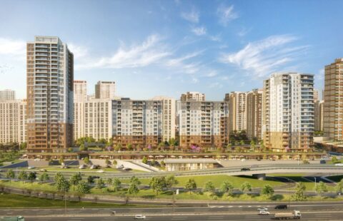 HCC – IST 225 MODERN YAKA