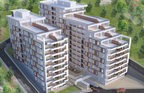 HCC-IST-335 Oksijen Park