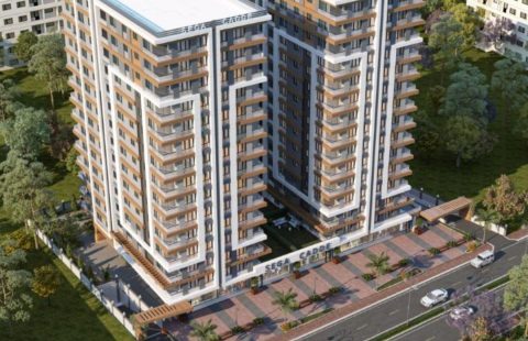 HCC-IST-334 SEGA CADDE PROJECT