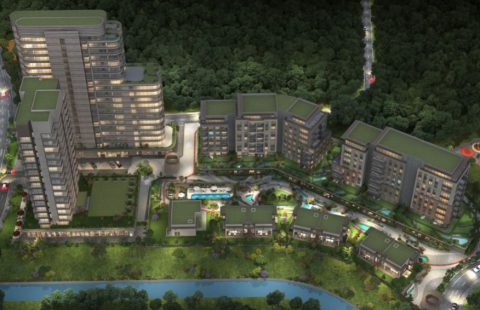 HCC-IST-330 Invest Vadi