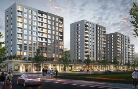 HCC-IST-364 Dia Centro