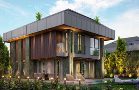 HCC-IST-423 Lovin Maris