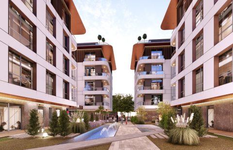 HCC- IST 581 BABACAN GARDENIA