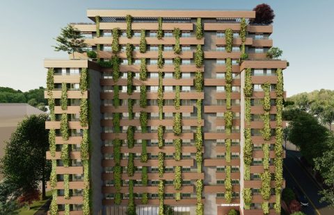 HCC-586-SENSE LEVENT