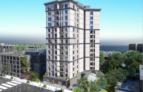 HCC-596-ZEYTINKULE ZEYTINBURNU