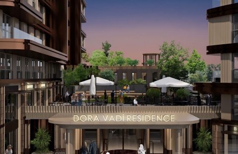 HCC-IST-594 DORA VADI