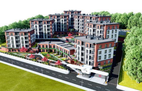 HCC=IST-599 FEZA PARK2