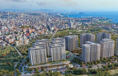 HCC-IST-608 KUZAY ADALAR