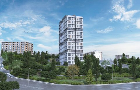 HCC-IST-613 Pelit Levent