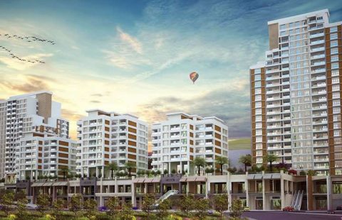 HCC — IST 23 VADITEPE GOLET