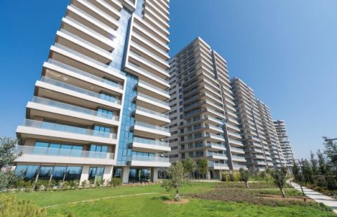 HCC — IST 58 PRUVA 34