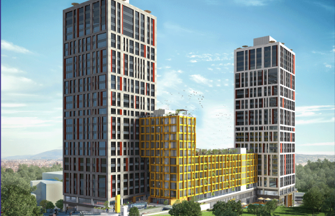 HCC — IST 184  EVİNPARK