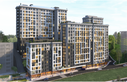 HCC — IST 221 GENYAP LINK