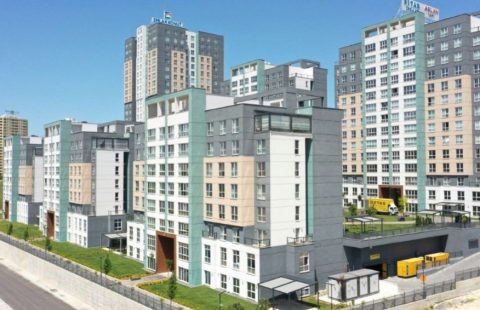 HCC — IST 281 EBRULİ ISPARTAKULE