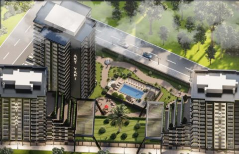 HCC — IST 289 AKTEYMUR MAHAL