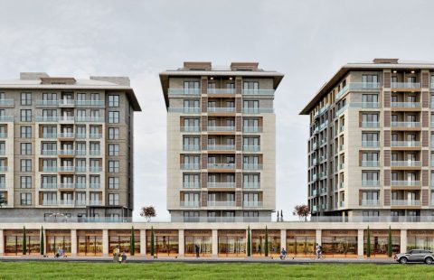 HCC — IST 303 ALYA DREAM