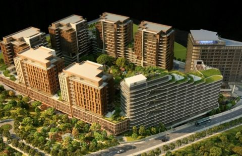 HCC — IST 296 BENESTA ACIBADEM