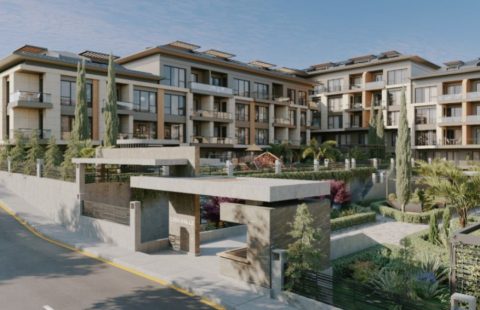 HCC-IST-327 Kavaklı Bir