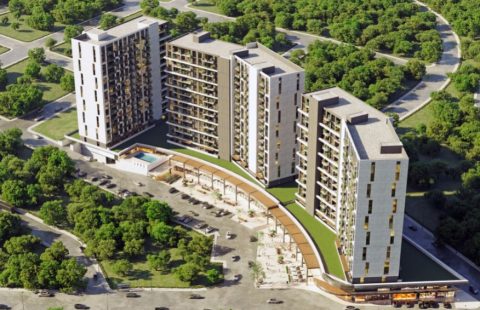 HCC-IST-428 Luna Dragon