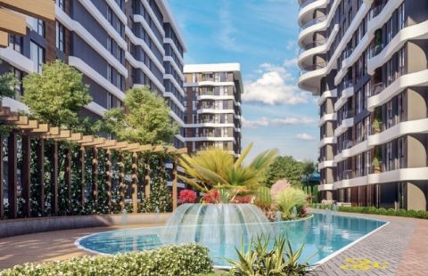 HCC-IST-397 Antplato