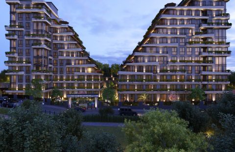 HCC-IST-496 Almond Garden