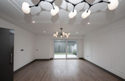 HCC-IST-419 Dap Vadisi