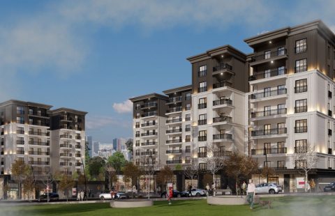 HCC-IST-577 Tima Hayat