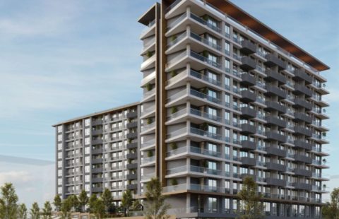 HCC-IST-591 VALORY GÜNEŞLI