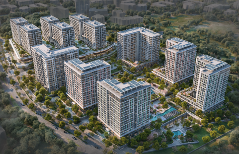 HCC-IST-608 KUZAY ADALAR