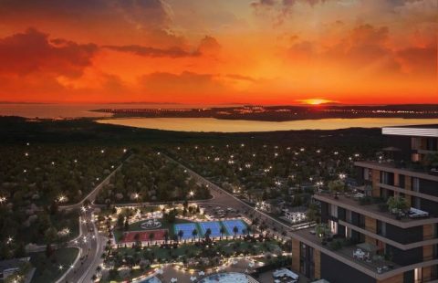 HCC-IST 33 DEMIR LIFE