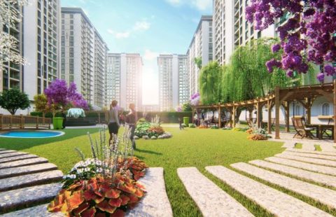 HCC-IST 27 METRO HOME