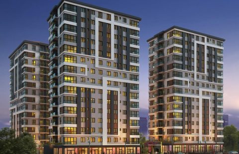 HCC-IST 80 SEBA HAYAT