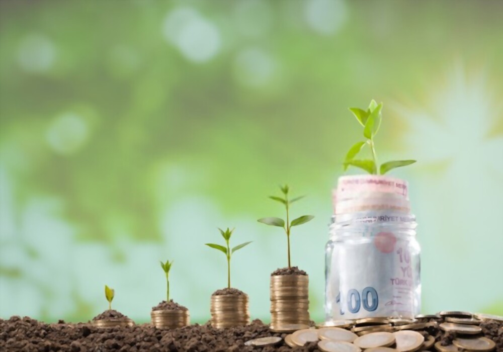 فرص استثمارية مربحة في تركيا