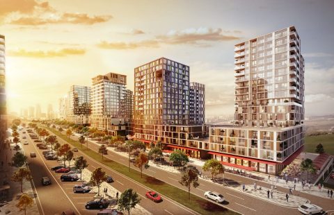 مشروع  HCC – IST 175 STRADA