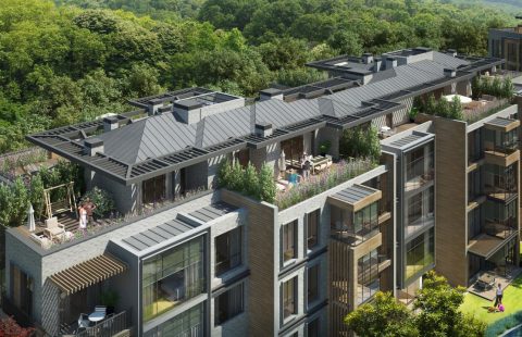 HCC – IST 192 MESA ORMAN