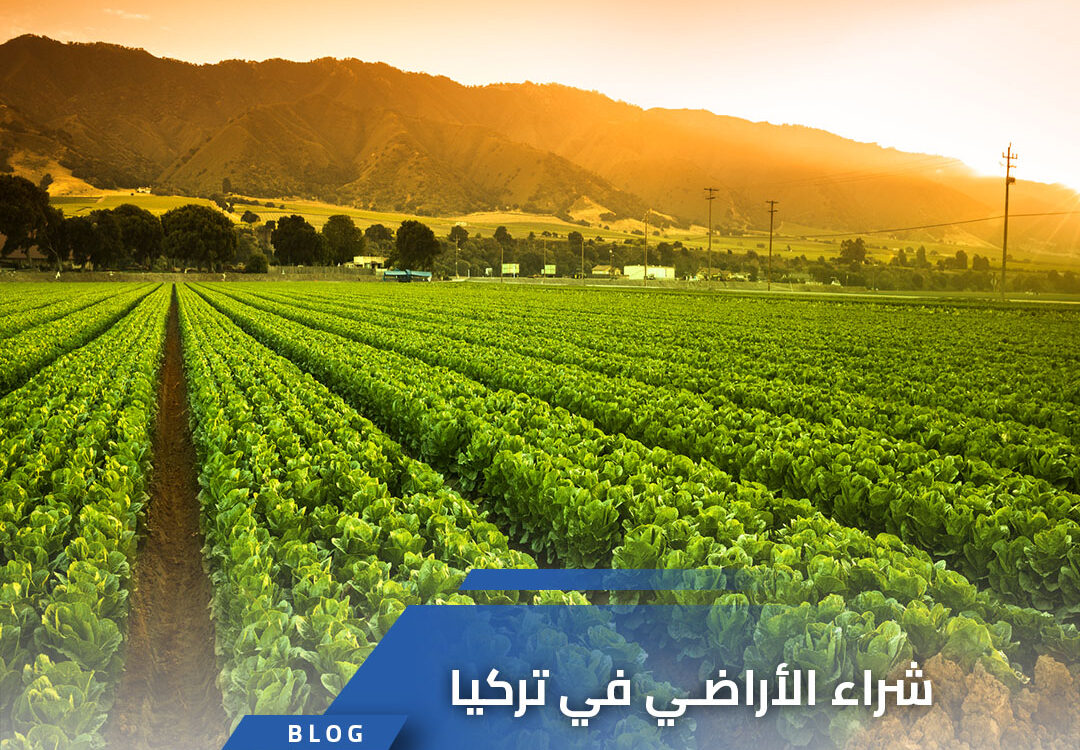 امتلاك و شراء الأراضي في تركيا