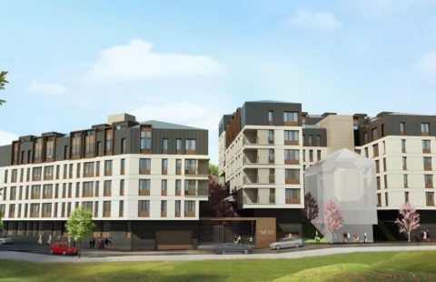 HCC – IST 256 NEF POINT 05