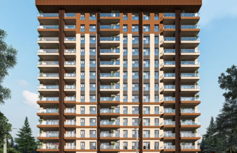 HCC – IST 286 VERA YAŞAM